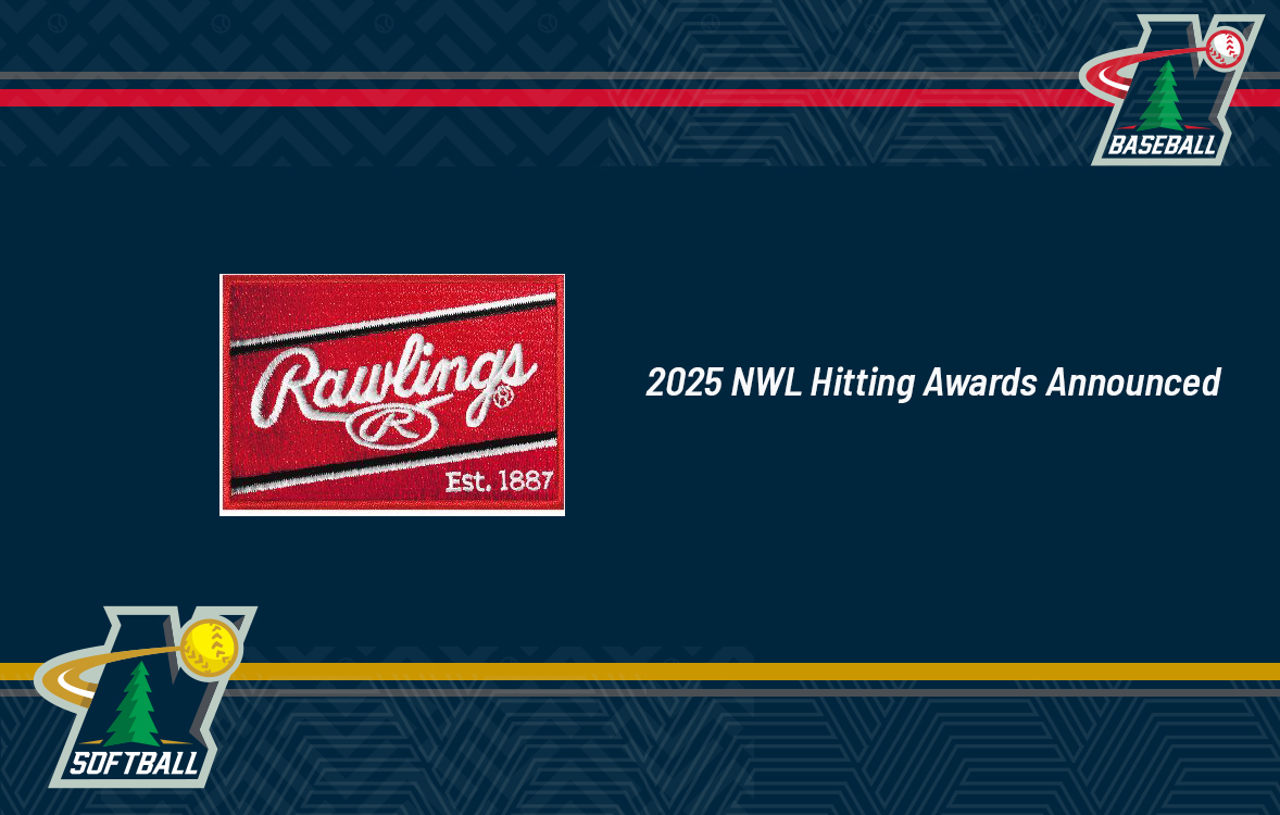 2025 Rawlings Hitting Awards