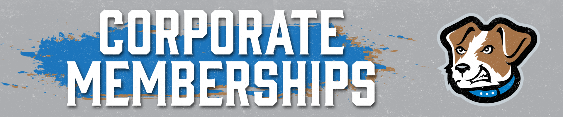 Corpo-Membership-Banner