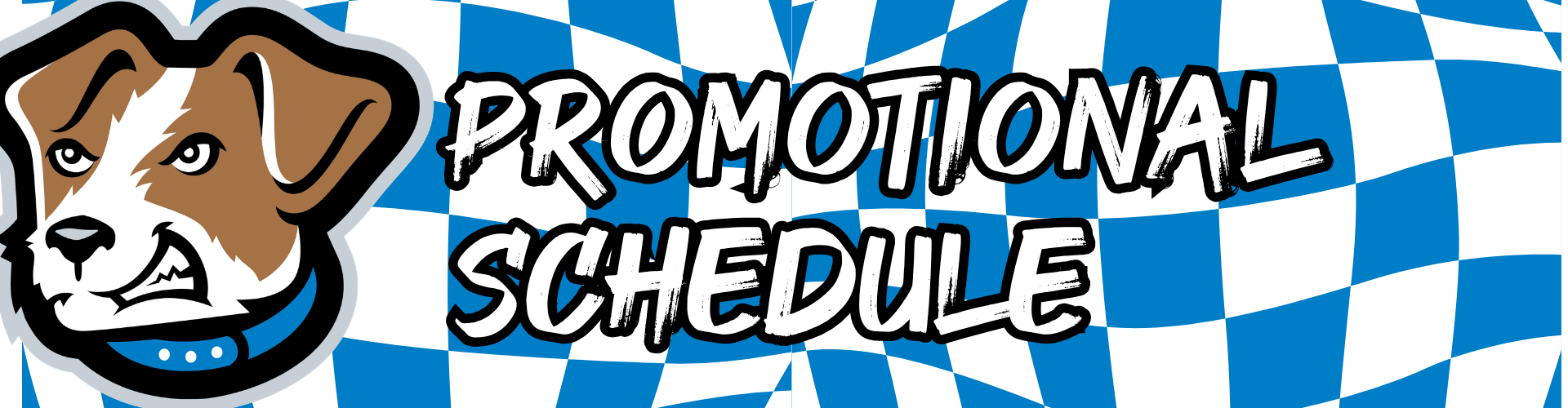 WORDPRESS BANNER-promo