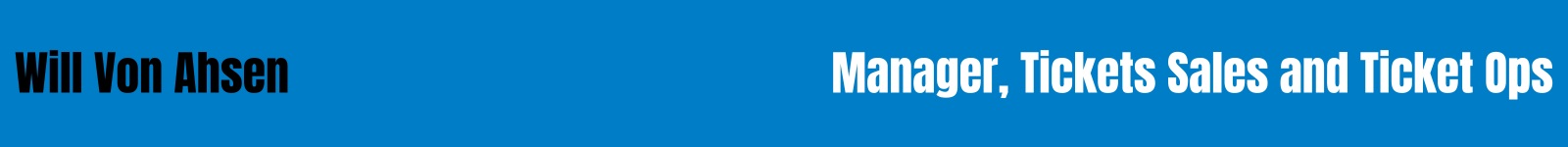 WordPress Website