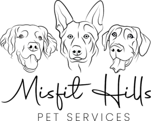 Black misfit hills final_1714564773