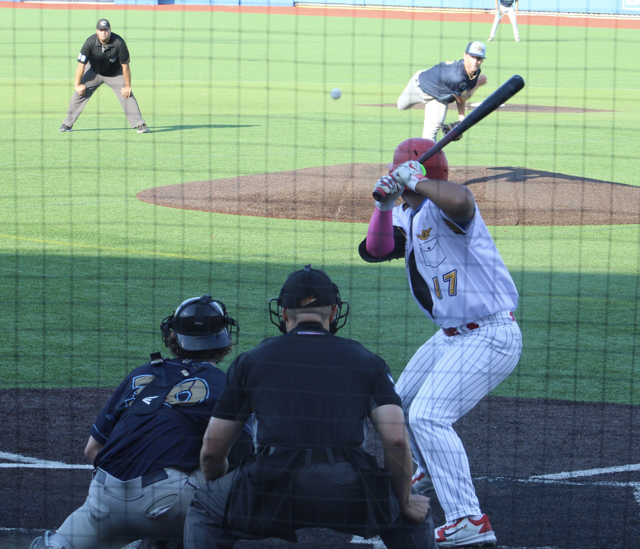 Selga at the Plate
