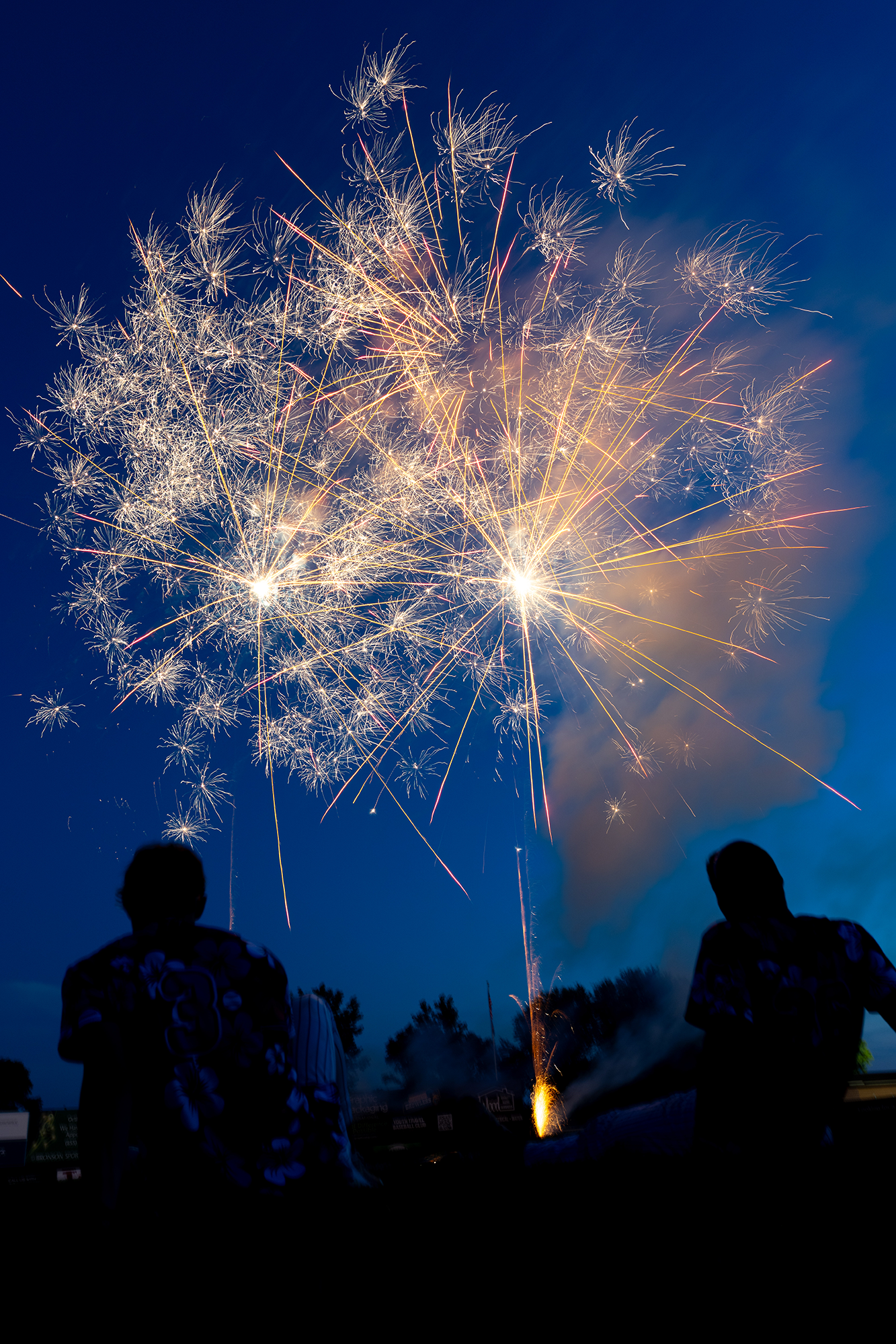 kalamazoo growlers fireworks 3