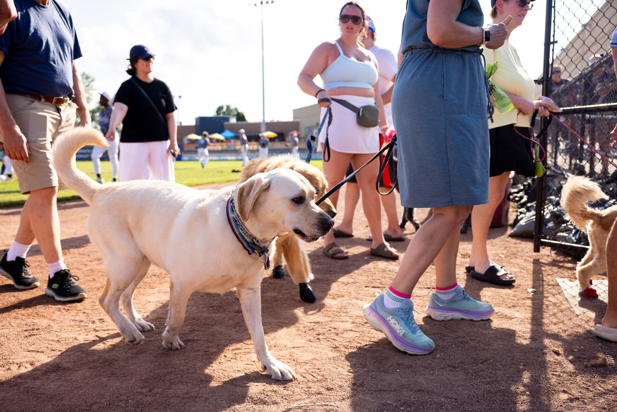 510519818_1119417230216355_9026682892176804797_n (1)