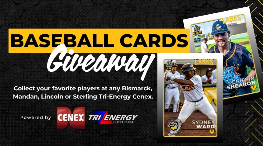 Baseball Card (1)