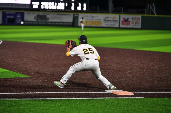 Bismarck Larks Set Inflied