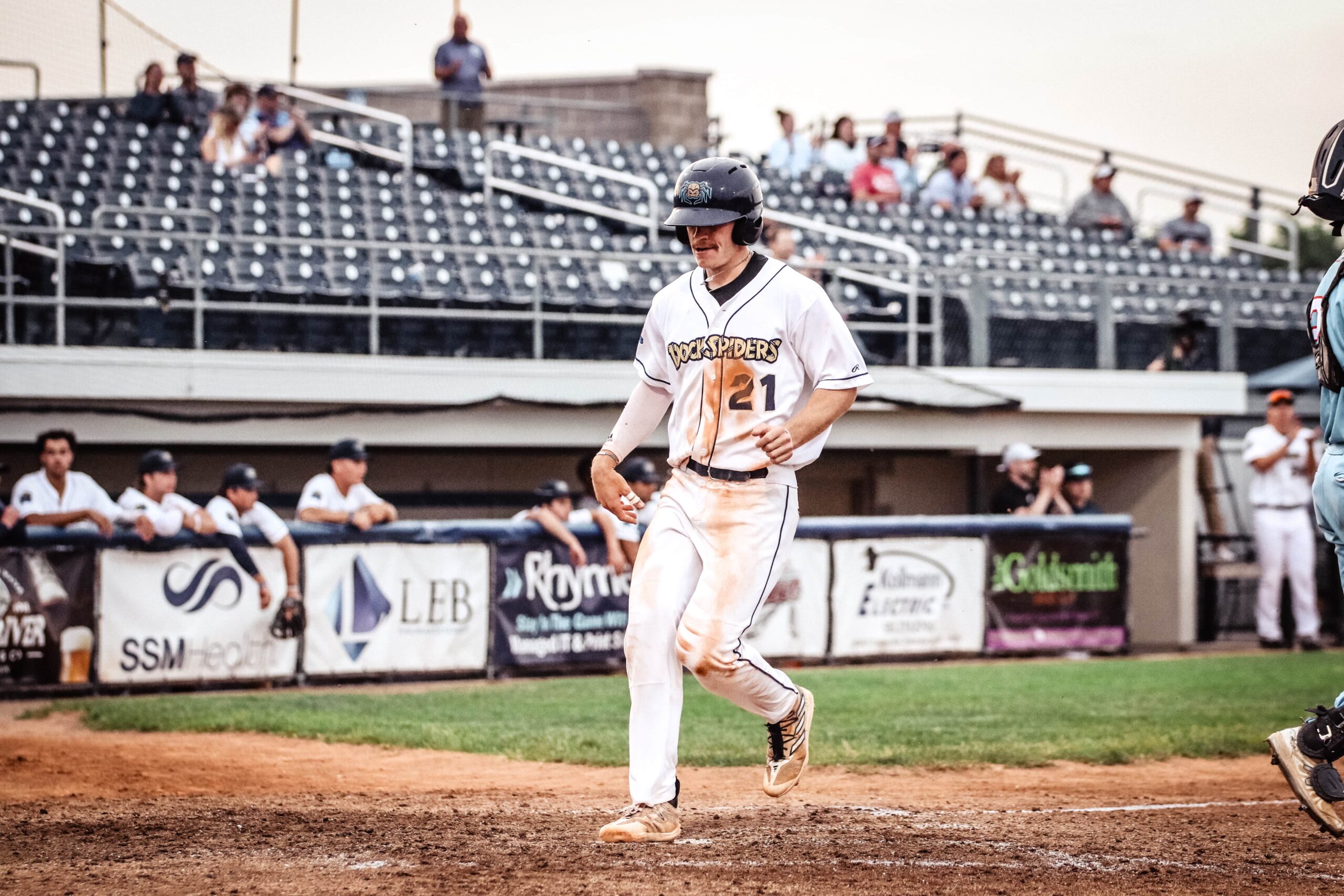 Dock Spiders Push Past Woodchucks