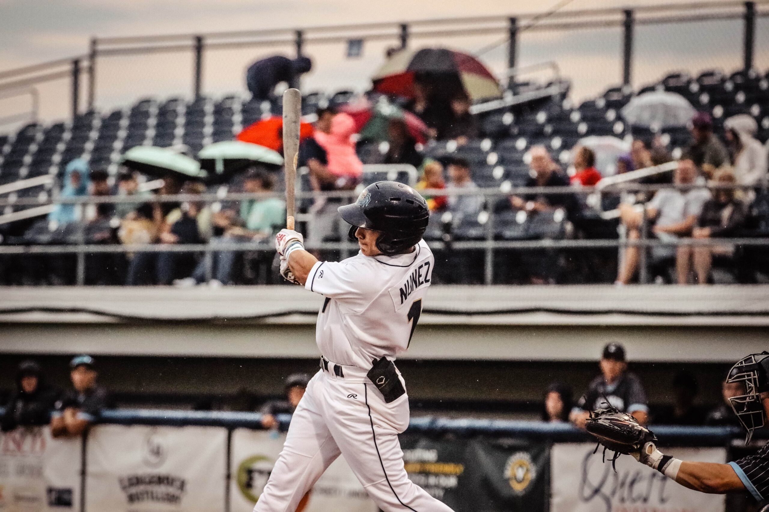 Dock Spiders Fall to the Woodchucks