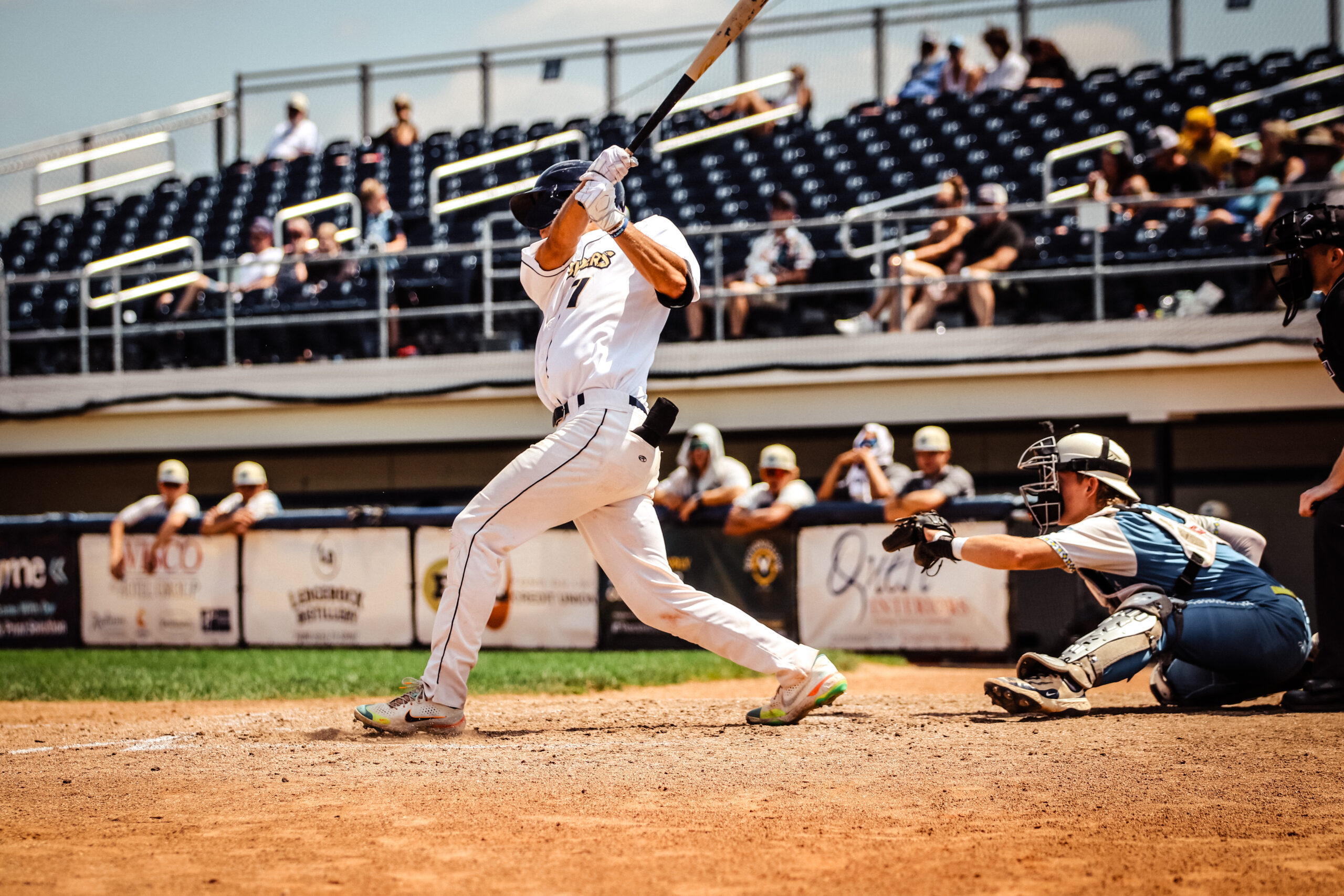 Dock Spiders Swept by the Mallards at Home