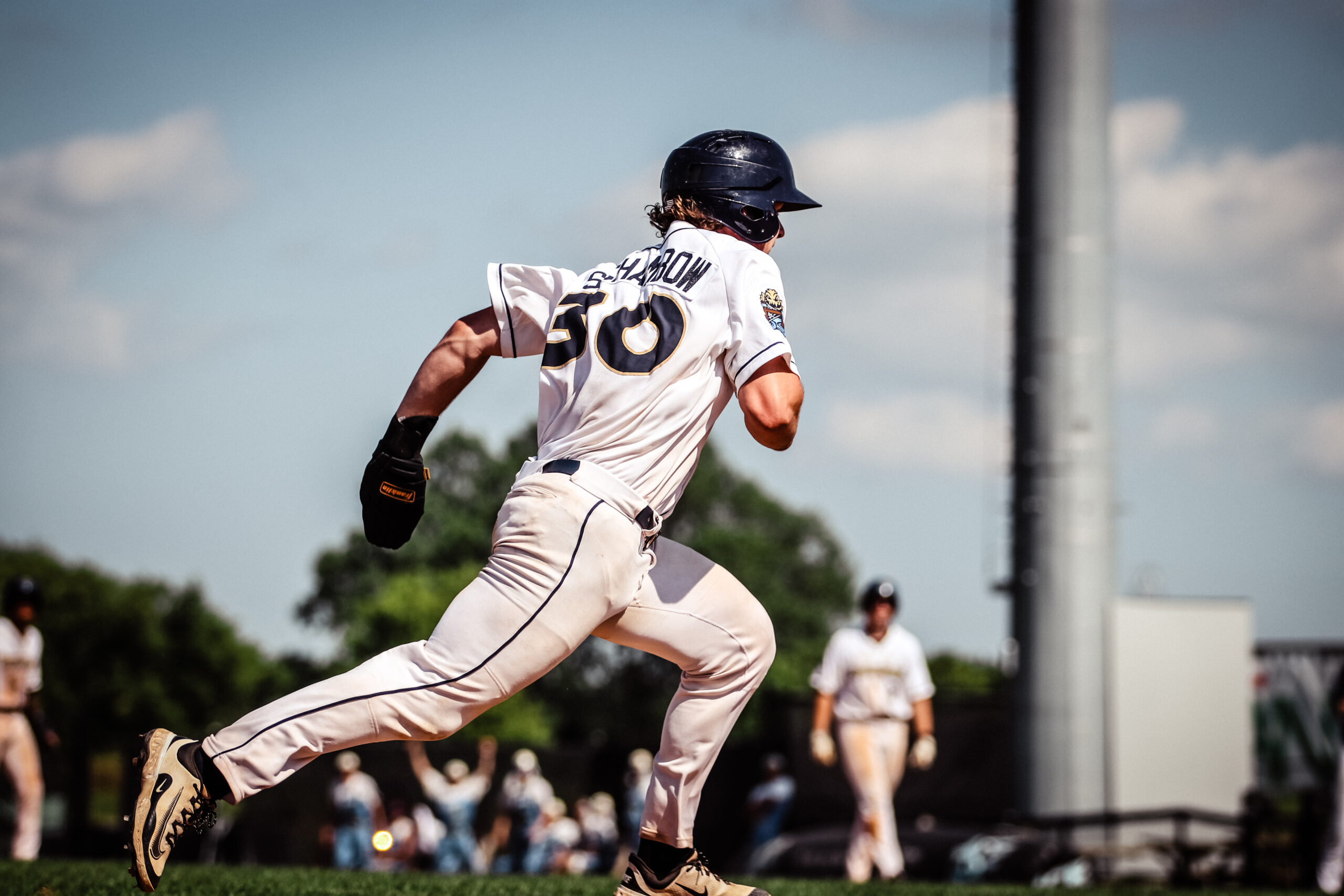 Dock Spiders Split with the Mallards