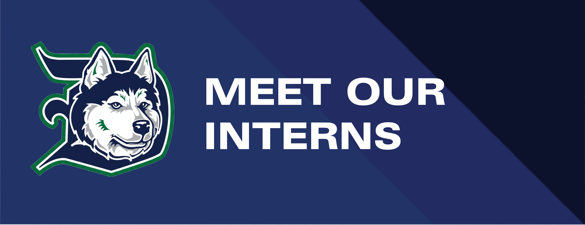 Meet Our Interns