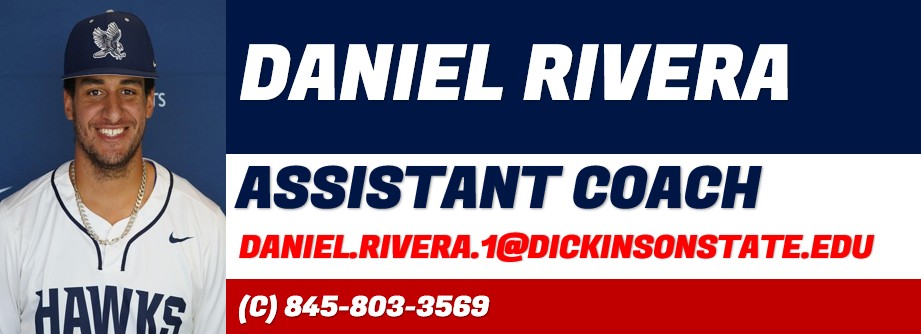dAN wEBSITE