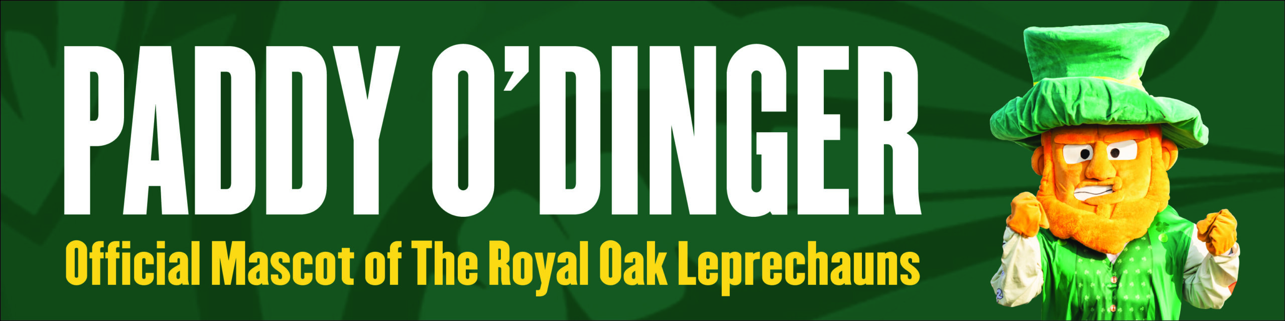Meet Paddy Banner